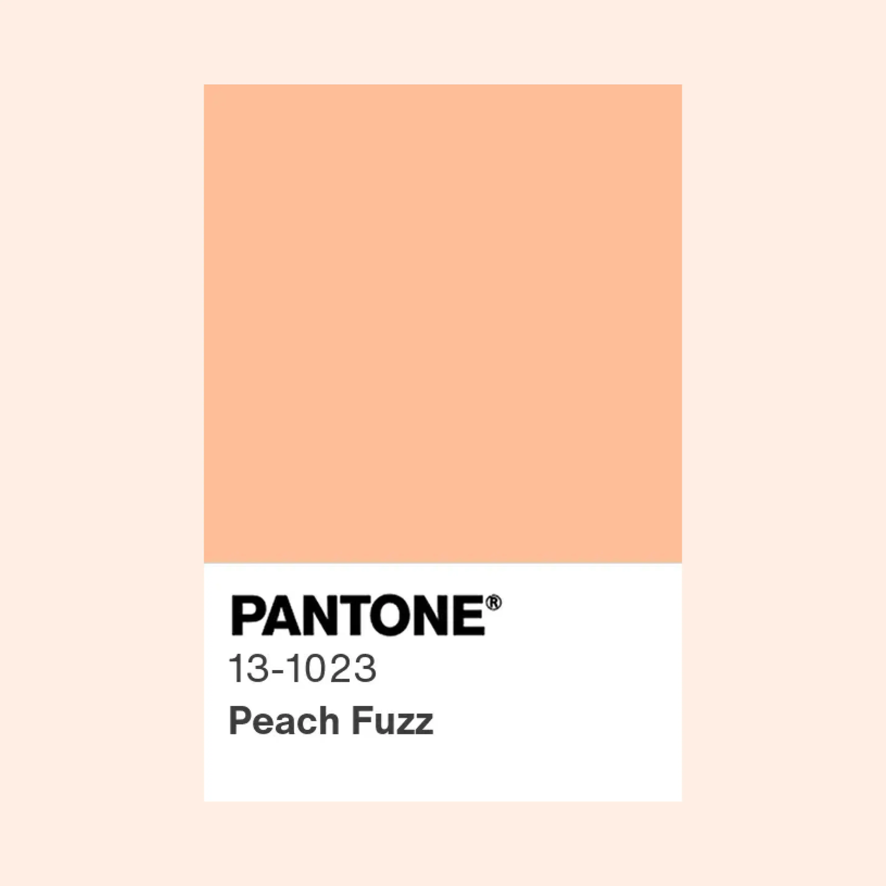 Design challenge 5. Pantone colour 2024