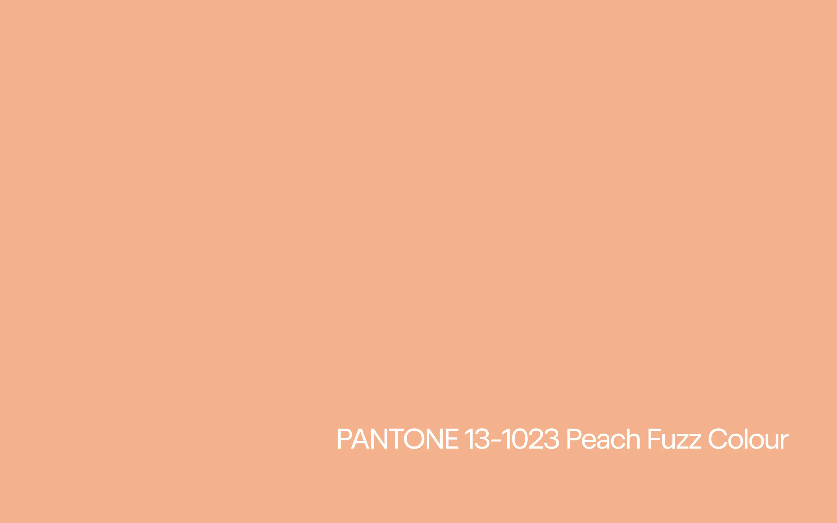 Design Challenge 5. Pantone Colour 2024